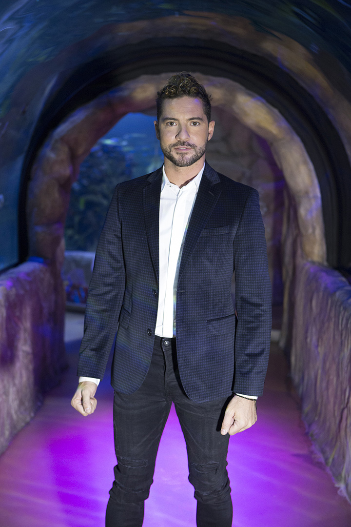 Galería ENTREFAM - David Bisbal Lanza Tema Musical “Vivir Así es Morir de Amor”, tema de Camilo Sesto