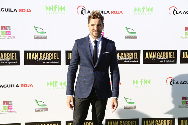 Galería ENTREFAM - David Bisbal Lanza Tema Musical “Vivir Así es Morir de Amor”, tema de Camilo Sesto